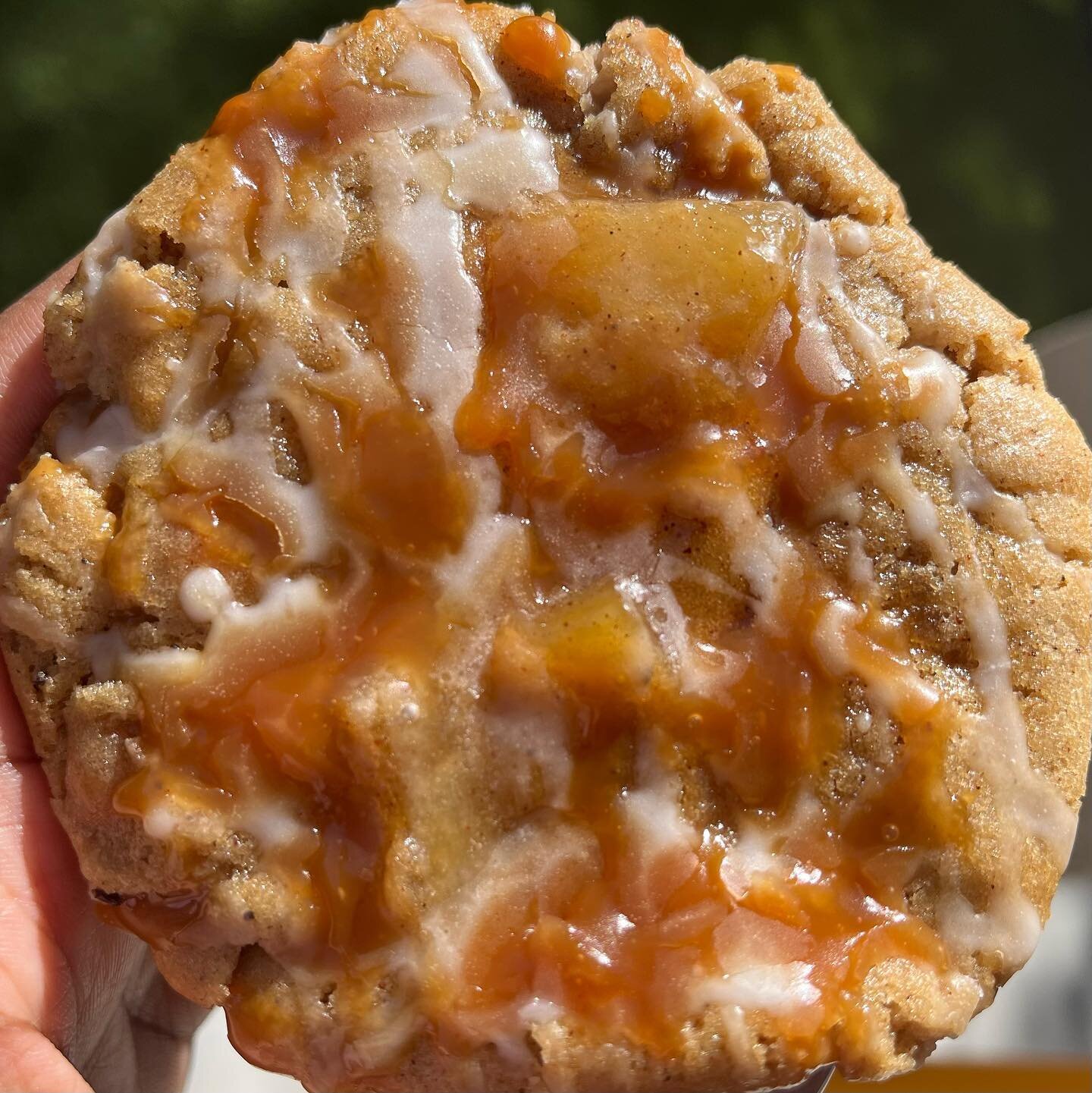 Hey y&rsquo;all!! We have been in the kitchen cooking up some new flavors for Fall 🍂🍁! Check out our new line up!
🍏Caramel Apple
🌰Southern Butter Pecan
🍫Double Chocolate Cookies&rsquo;N&rsquo; Cream 
🥳Birthday Cake
🎃Pumpkin Spice
All new fla